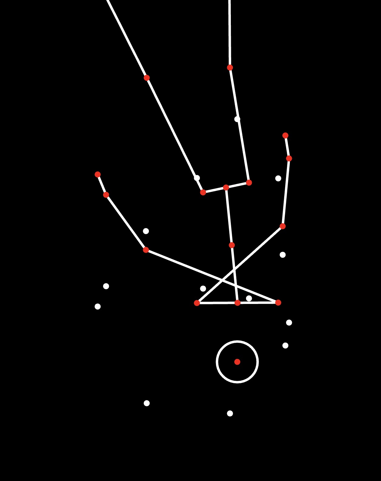 Pose tracking points connected with white lines on black background