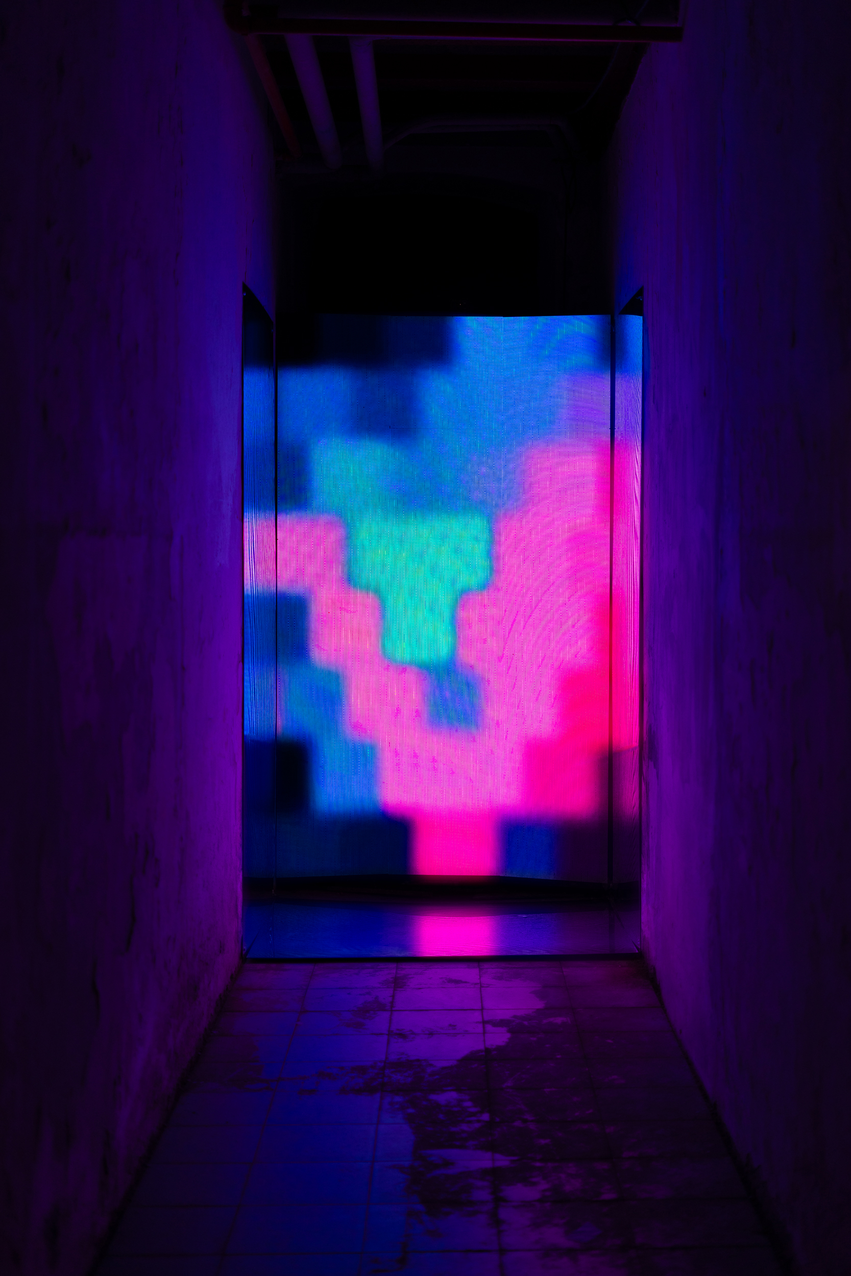 Organic Grids series at Graphic Days in Turin