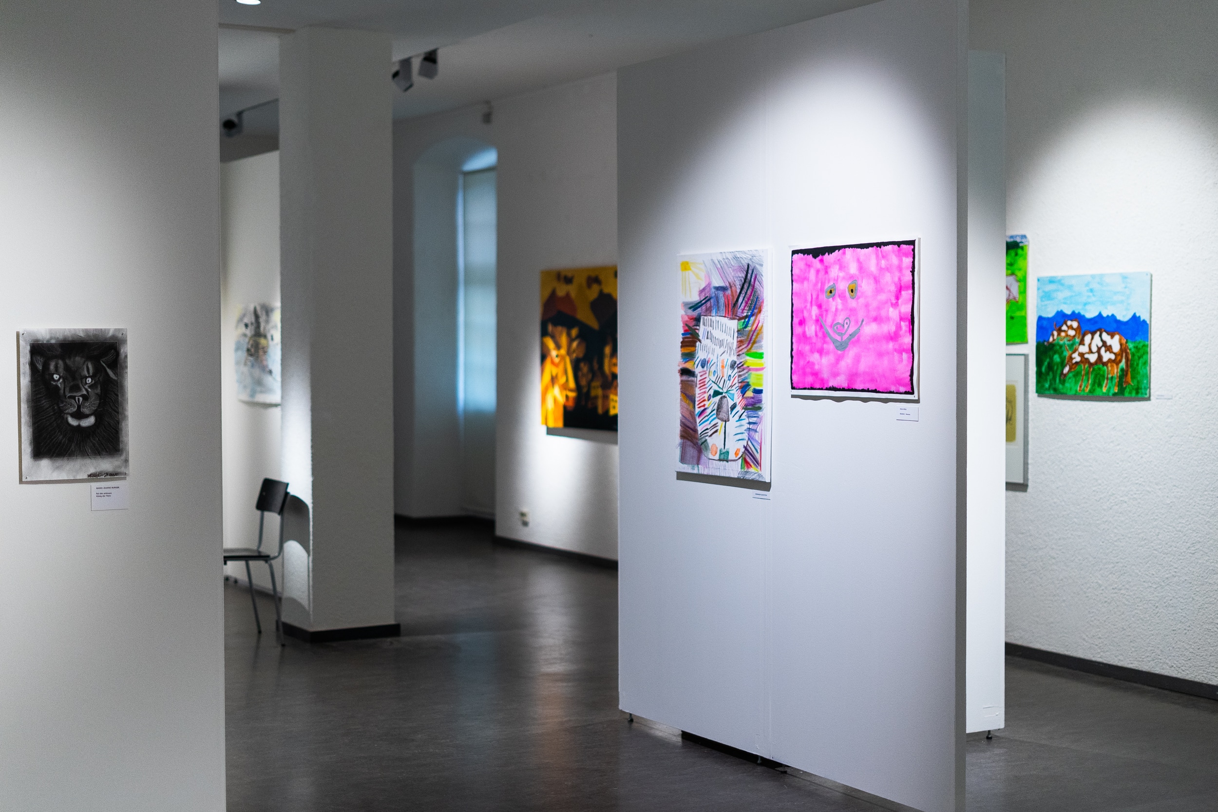 Exhibition detail of Tiere / Animaux in Dreiländermuseum Lörrach