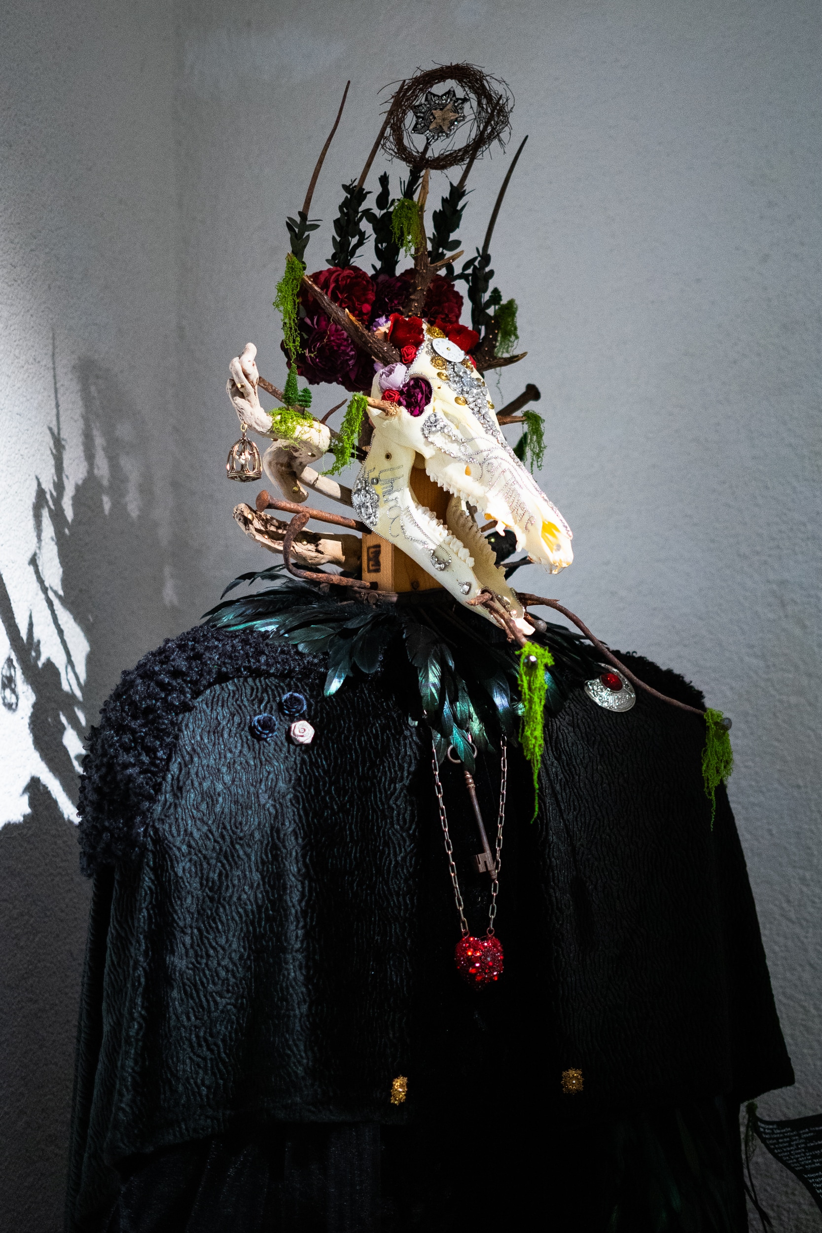 Animal skull installation by Ella Lack